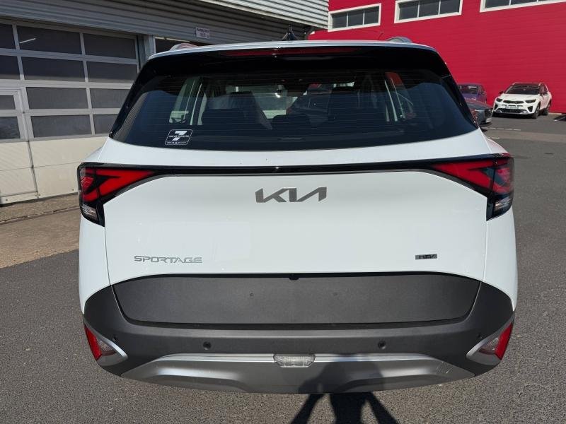 kia - Visuel 5